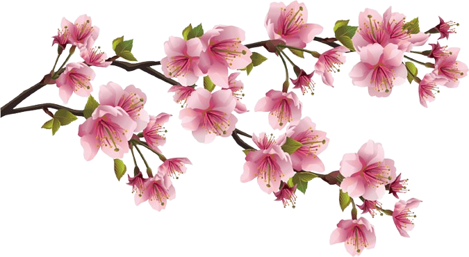 Almond-blossom